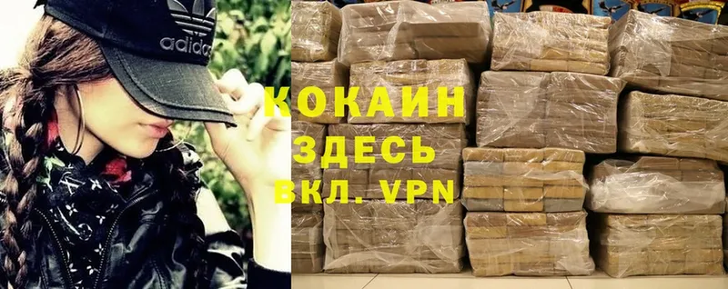 Cocaine 99%  darknet телеграм  Торжок 